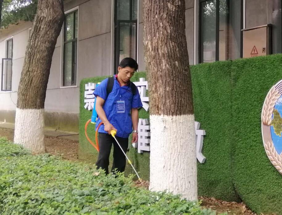江堤大壩水庫(kù)水利白蟻治理